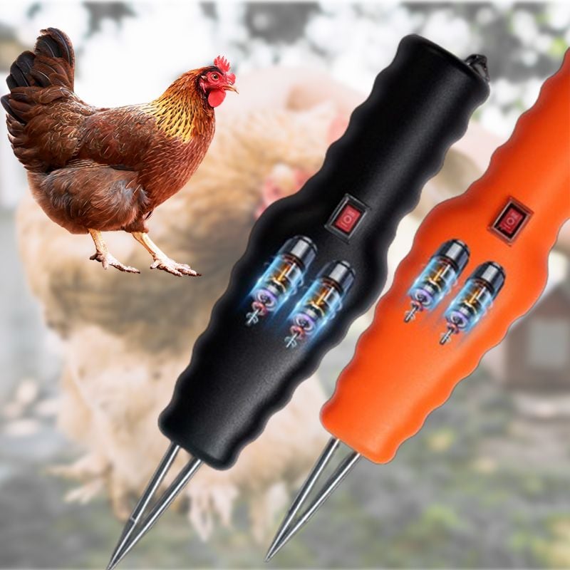 Plumeuse de poulet électrique rapide