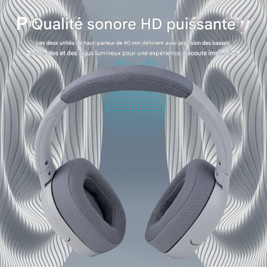 Casque Bluetooth & Haut-Parleur 2-en-1